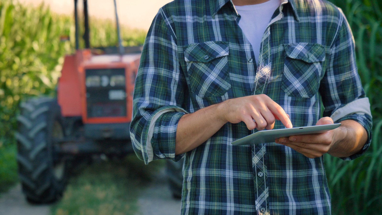 Navigating Rural Business Digital Transformation